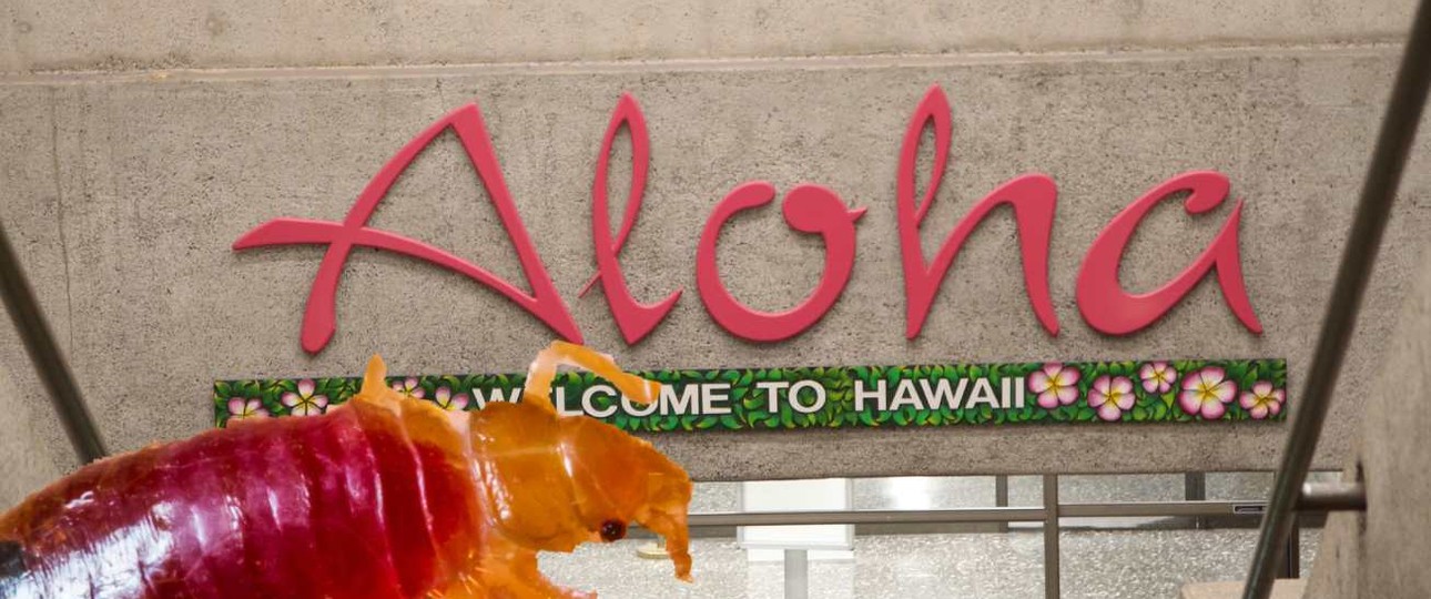 Der Flughafen von Honolulu: Er hat ein Bettwanzen-Problem.