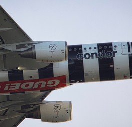 Airbus A320 D_ASGE von Condor: Durfte nicht mehr in Frankfurt landen.