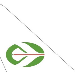 ticker domestic airlines air algerie