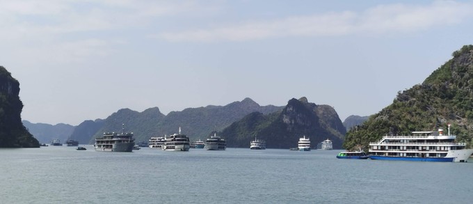Stelldichein der Touristenschiffe in der Halong Bucht