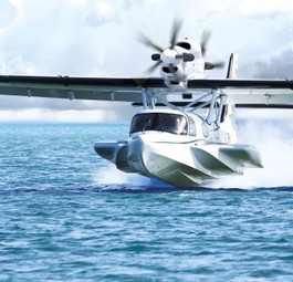 Zum Bau der Seastar haben die Familie Dornier und die staatlichen chinesischen Unternehmen Wuxi Industrial Development und Wuxi Communications Industry ein Gemeinschaftsunternehmen gegründet: Dornier Seawings.