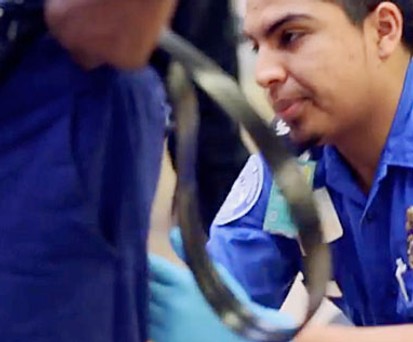 Kontrollen der TSA: Das Verhalten der Passagiere im Blick.