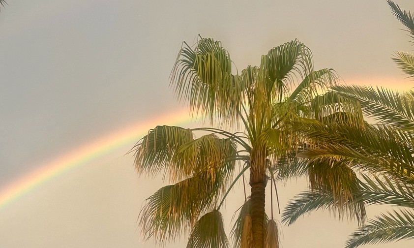 Palmen sehen: Urlaub zu machen, wird immer teurer. 