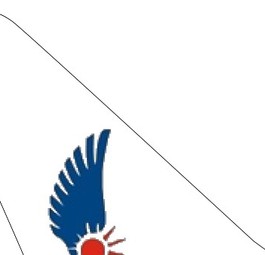 ticker-air-nostrum-2