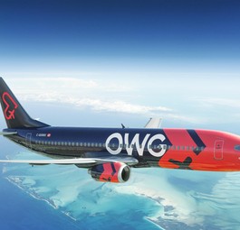 Computerbild eines Fliegers von OWG: Der Name steht für Off We go!