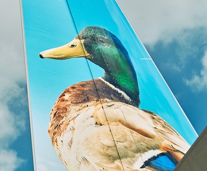 Heckflosse von Frontier: Die Airline bietet jetzt Flugabos an.