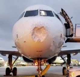 A319 von Delta bekommt eins auf die Nase