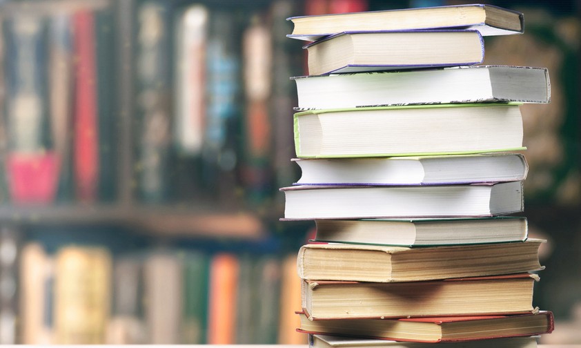 Bücher: Auch für Luftfahrtfans eine gute Freizeitbeschäftigung.
