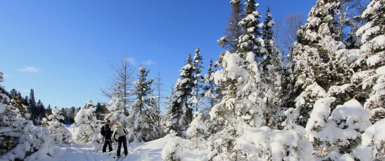 Langlaufparadies Algonquin Nationalpark
