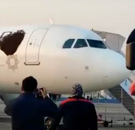 Feuerwehr spült Bienen von Airbus A320