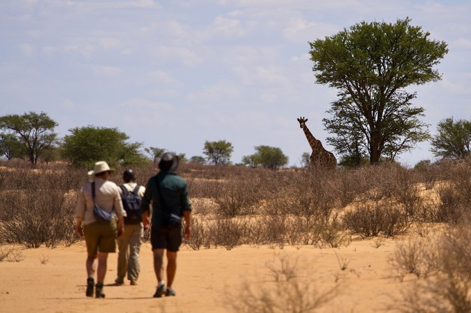 Eine Walking Safari ist etwas ganz Besonderes