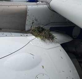 airbus a320 neo air india runway excursion