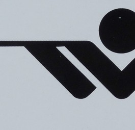 Es ist ja kein richtiges...trotzdem sind auch Luftgewehre an Bord unerwünscht. Ein Passagier versuchte es dennoch.
