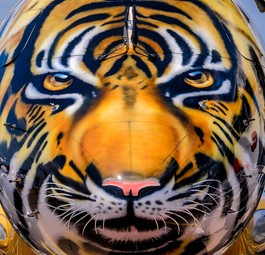 ... einem Tiger schickte der brasilianische Flugzeugbauer seinen neuen Jet auf Werbetour.