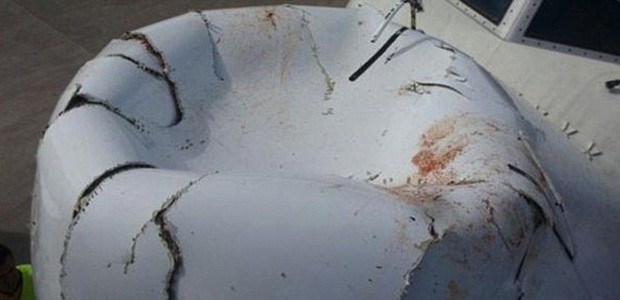 Blut- und Federreste kann man auf der ramponierten Flugzeugnase noch erkennen.