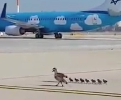 Neue Nutzer des Flughafens Tel Aviv