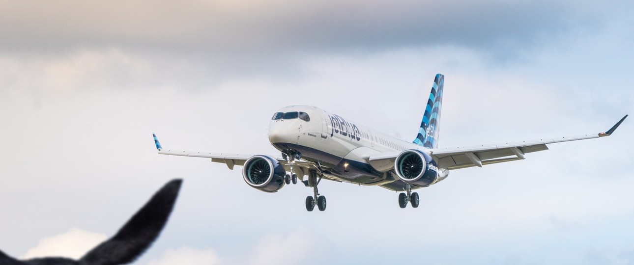 Airbus A220 von Jetblue und Schwanz von einem Hund (Montage): Der eine musste warten, bis der andere weg ist.