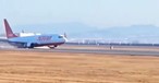 Der Flughafen Muan hat ein Vogelschlag-Problem