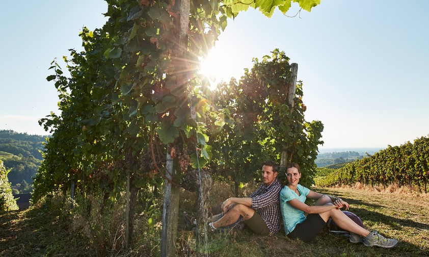 Schwarzwald Sasbachwalden Weinberge