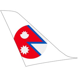 Gegroundete nepalesische Guna Airlines besteht Finanzüberprüfung nicht