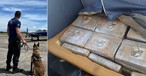 Teil der Operation Paramuno in Brasilien und Kokain-Fund unter Flugzeugsitz in England: Kampf gegen Organisierte Kriminalität.