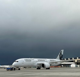 Der Dreamliner von Enrique Piñeyro am 13. Januar in Frankfurt.