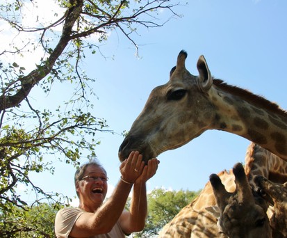 So nah kommt man Giraffen sonst nie wie im  Royal Livingstone
