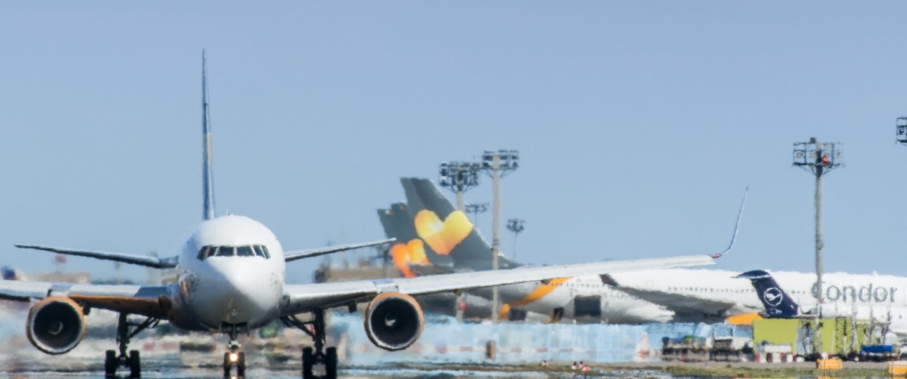 Flieger von Condor in Frankfurt: Die Thomas-Cook-Gruppe wackelt.