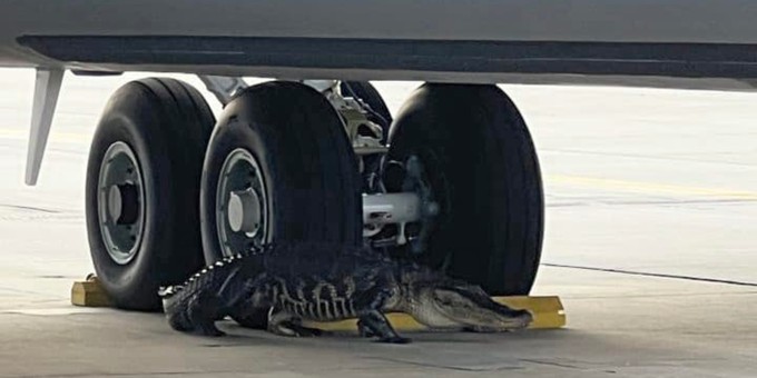 ... auf dem Gelände der MacDill Air Force Base.