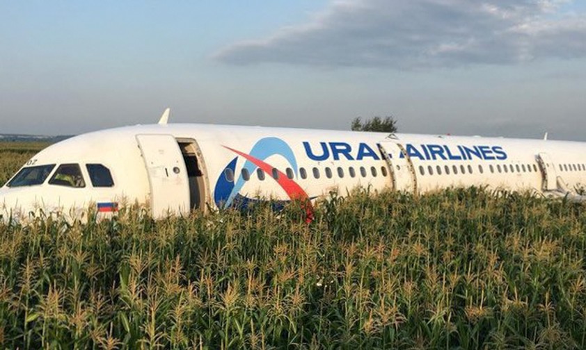 The A321 of Ural Airlines in the corn field.