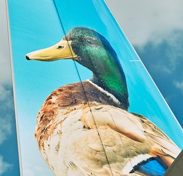 Heckflosse von Frontier: Die Airline bietet jetzt Flugabos an.
