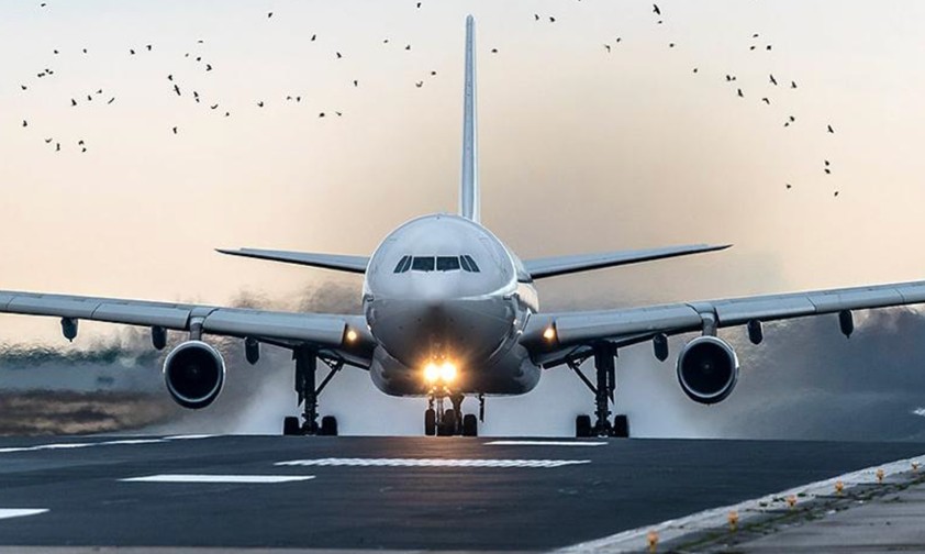Airbus A340 von Legend Airlines: Er saß vier Tage in Frankreich fest.