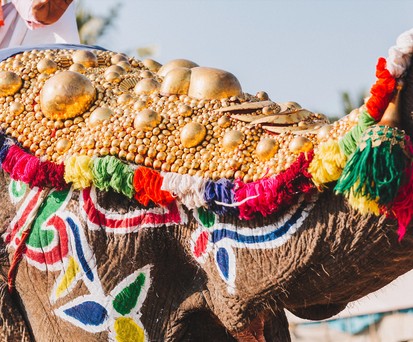 Festlich geschmückter Elefant: Teil der Prozession.