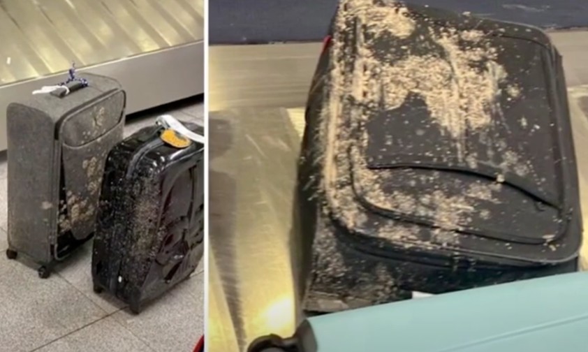 Bilder von Koffern aus dem Virgin-Flug nach New York: Die Gepäckstücke sehen so aus, als seien sie mit menschlichen Ausscheidungen überzogen.