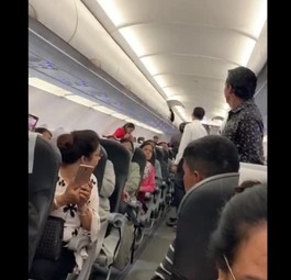 Auch Tauben wollen mal fliegen