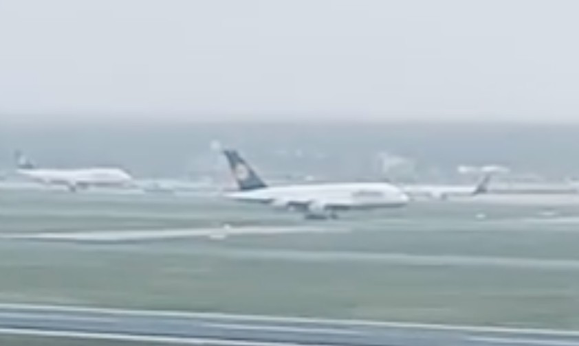 Hier landet Lufthansas D-AIMM in Frankfurt