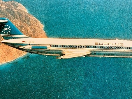 Südflug