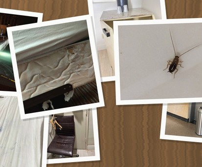 Fotos aus dem Crewhotel in Miami: Nicht, was man sehen möchte.