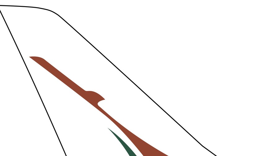 ticker-niger-airlines