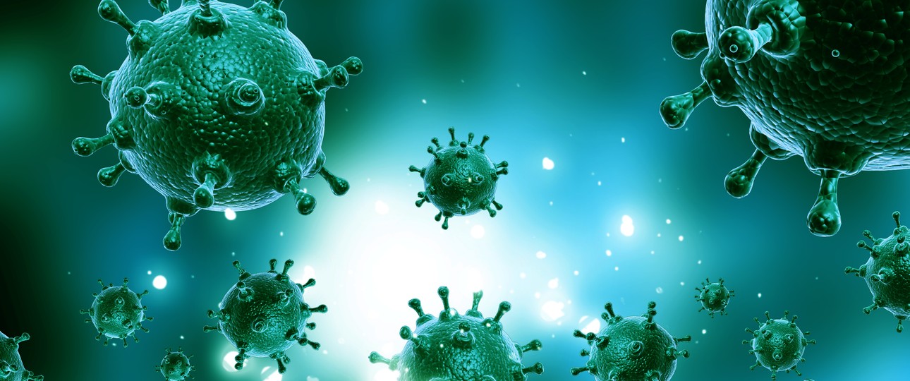 Influenza-Virus: Auf der Pilgerreise stecken sich viele an.