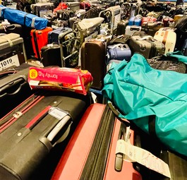 Liegengeblieben Koffer in Zürich: Wo Berge sich erheben ...