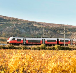 Zug der ÖBB: Der öffentliche Personennahverkehr ist die beliebteste Option zur Anreise zum Flughafen Wien.