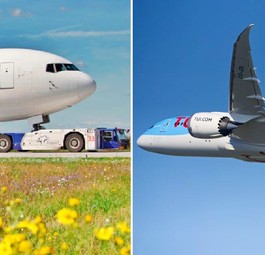 Condor and Tuifly aircraft: Would they work well together?