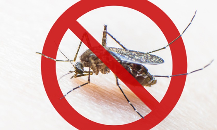Insekten unerwünscht: Die britische Regierung ordnet an, Flieger aus Risikogebieten behandeln zu lassen.