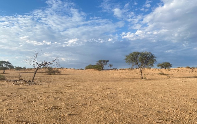 Kalahari südöstlich von Windhoek