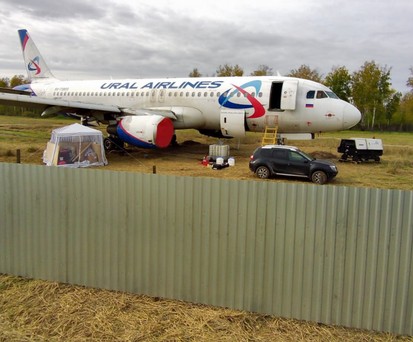 Muss der Airbus A320 von Ural Airlines auf dem Weizenfeld überwintern?