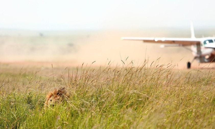 Angama Airstrip: Momentan gibt es nur die Piste.