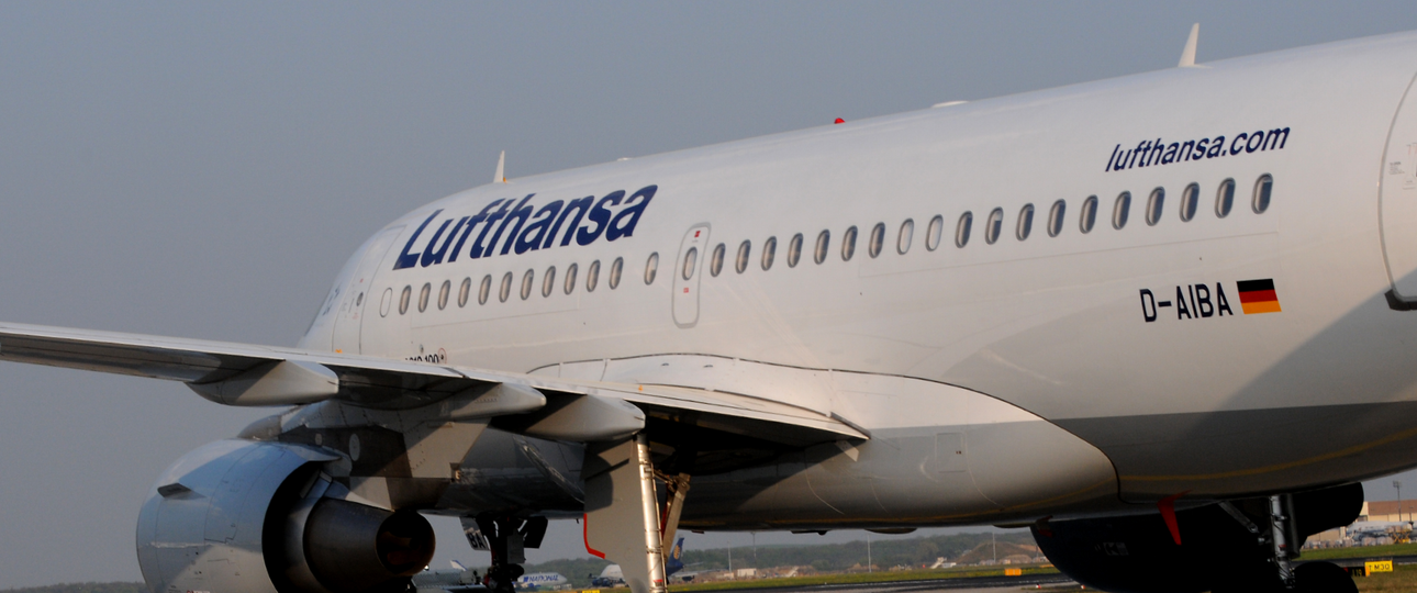 D-AIBA: Dieser Airbus A319 von Lufthansa musste nach dem Vogelschlag ausweichen.