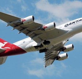 Nur Minuten vor dem Take Off am 2. Juni dieses Jahreseiner Qantas B-767 von Sidney nach Brisbane fand die Crew fünf Babyratten im Flugzeug. Das Flugzeug durfte nicht starten und blieb drei Tage am Boden.