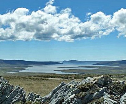 Falkland-Inseln: Nur ein Flug geht auf die Insel.